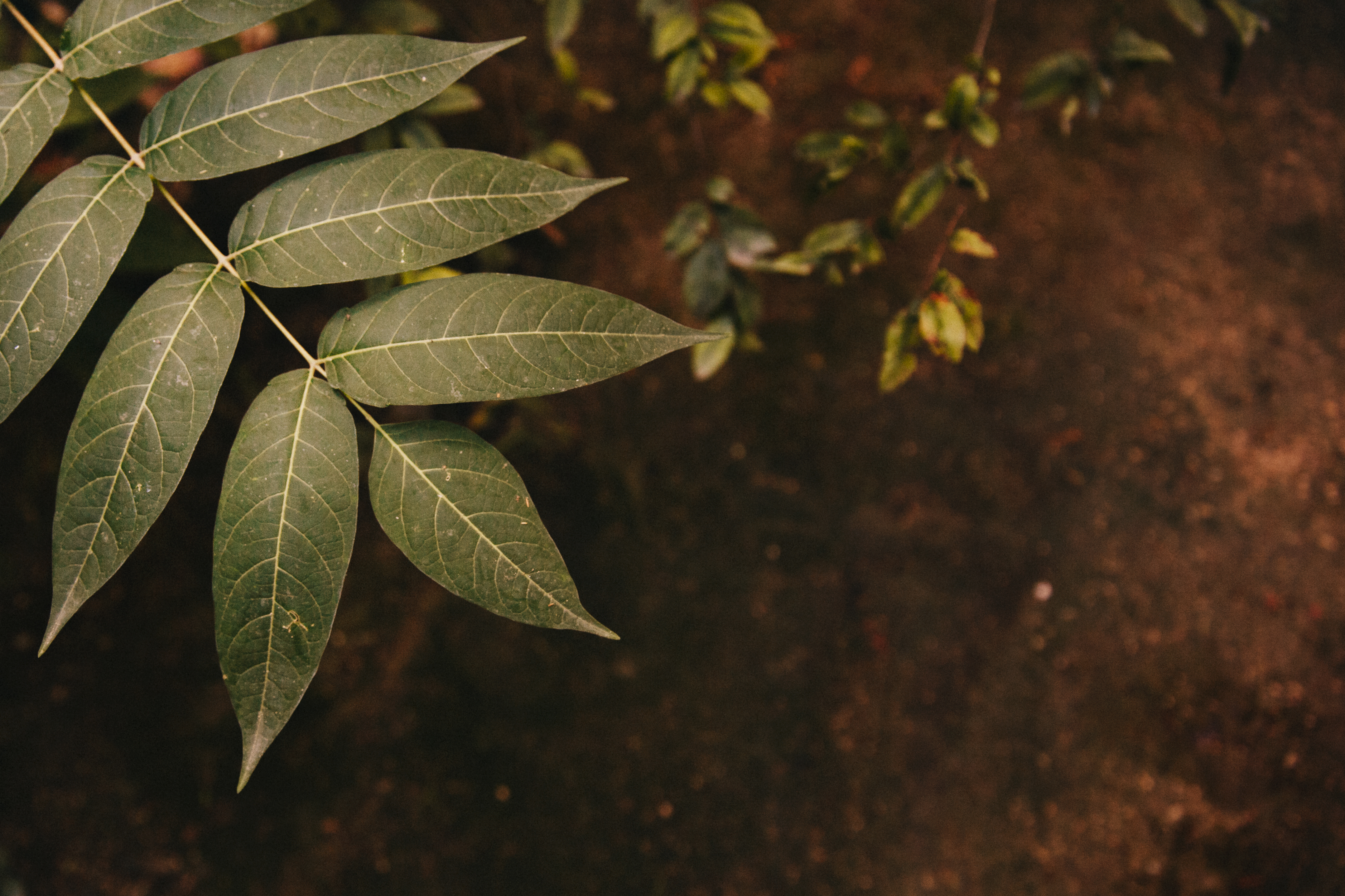 Natural healing background